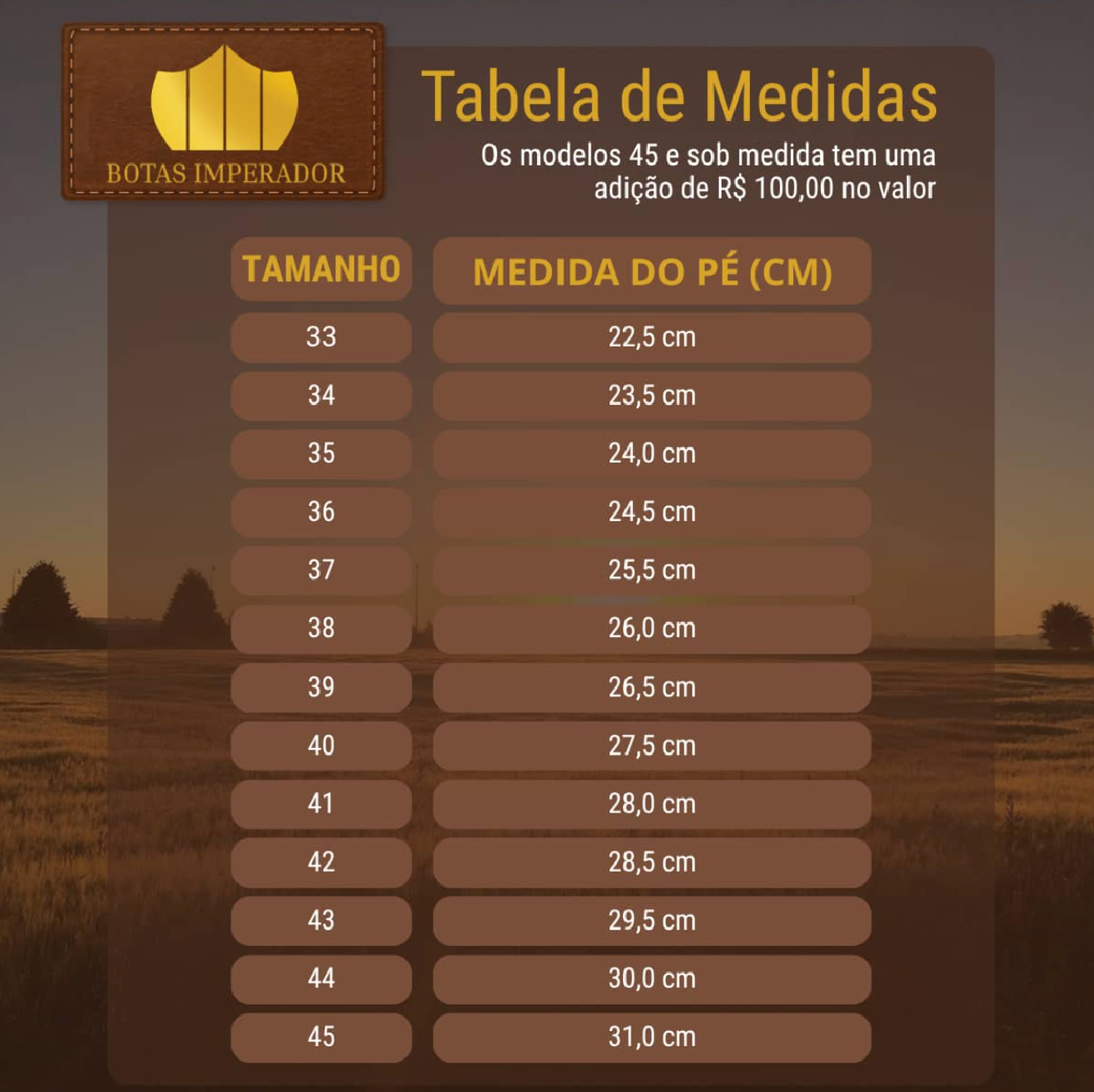 Tabela de Medidas